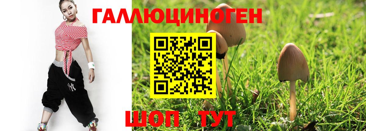 Королёв  Псилоцибиновые грибы Magic Shrooms  Вход с VPN 